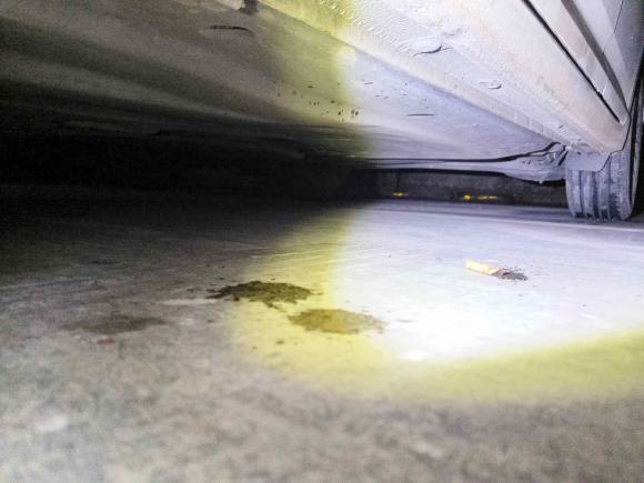 [成都·川A] 二手大众朗逸2019款 1.5L 自动舒适版 国VI