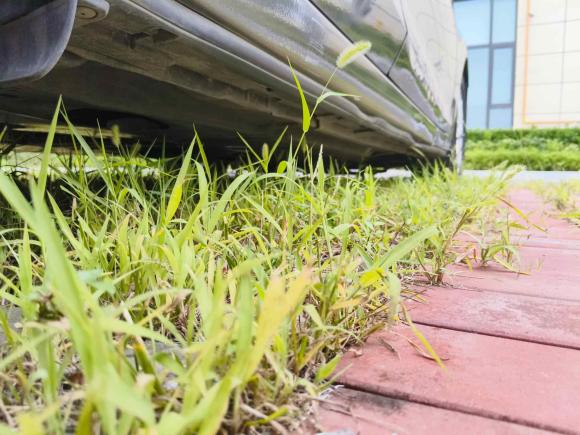 [青岛·鲁B] 二手马自达马自达3 昂克赛拉2014款 三厢 1.5L 手动舒适型