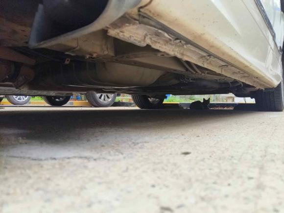 [武汉·鄂A] 二手本田艾力绅2016款 2.4L 经典版