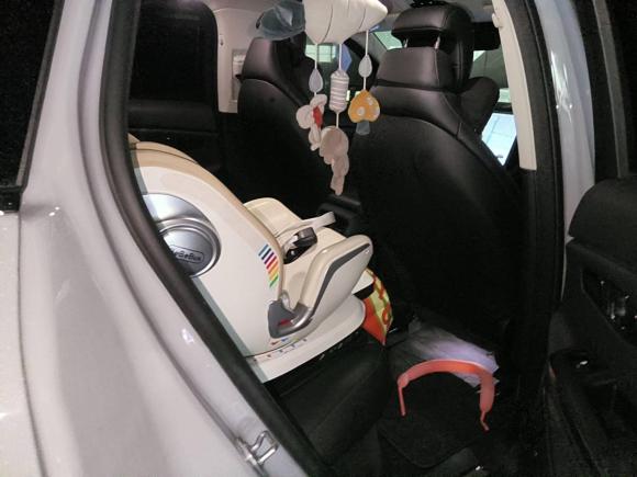 [温州·浙C] 二手蔚来蔚来ES62020款 430KM 性能版