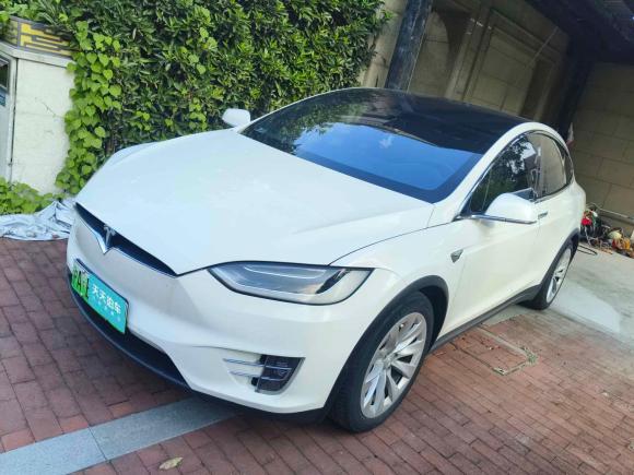 特斯拉Model X2017款 Model X 100D 长续航版「苏州二手车」「天天拍车」