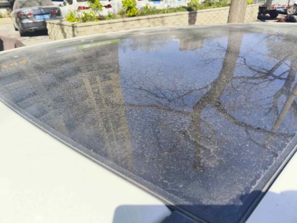 [济南·鲁A] 二手陆风陆风X72016款 2.0T 全景尊享版