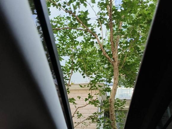 [上海·沪A] 二手荣威荣威RX5新能源2017款 eRX5 50T 混动互联尊荣旗舰版