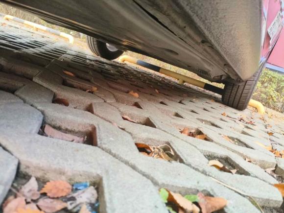 [嘉兴·浙F] 二手斯柯达明锐2019款 1.5L 手动舒适版