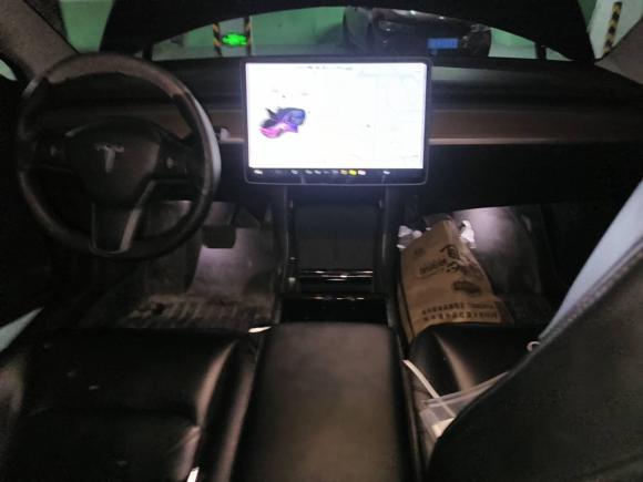 [上海·沪A] 二手特斯拉Model 32020款 改款 长续航后轮驱动版