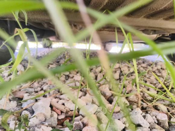 [温州·浙C] 二手五菱汽车五菱凯捷2020款 1.5T CVT旗舰型