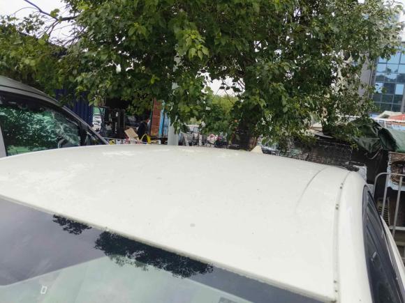 [深圳·粤M] 二手福特福睿斯2015款 1.5L 自动舒适型