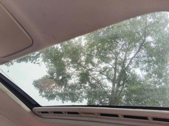 [温州·浙C] 二手大众宝来2015款 质惠版 1.6L 手动舒适型