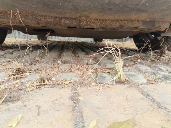 [佛山·粤Y] 二手铃木天语 SX42013款 1.6L 自动酷锐型