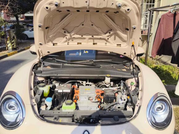 [上海·沪A] 二手欧拉欧拉好猫2023款 401km标准续航 舒享型 磷酸铁锂