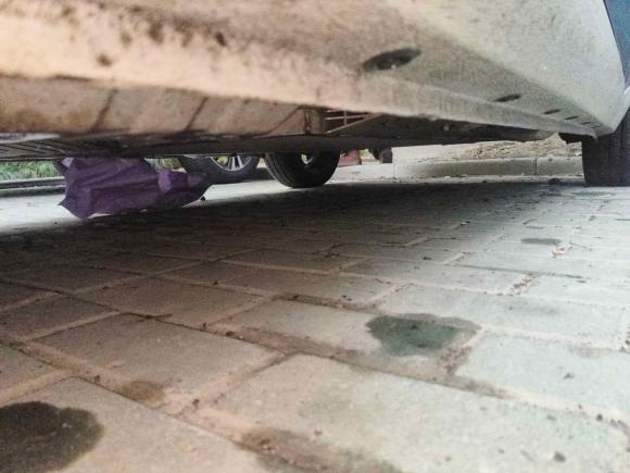 [合肥·皖A] 二手欧拉欧拉黑猫2019款 351km 亲子版