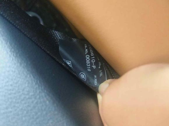 [成都·川A] 二手雷克萨斯雷克萨斯RZ2023款 300e 长续航 纵享版