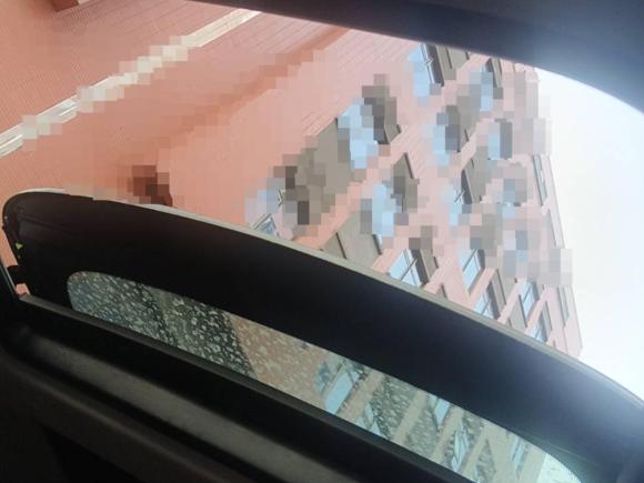 [嘉兴·浙F] 二手MINIMINI2023款 1.5T COOPER 艺术家