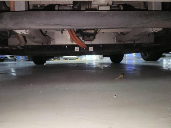 [湖州·浙E] 二手LITELITE2017款 引力版