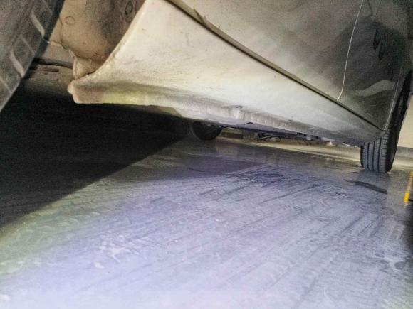 [合肥·皖A] 二手欧拉欧拉白猫2020款 401km 长续航型