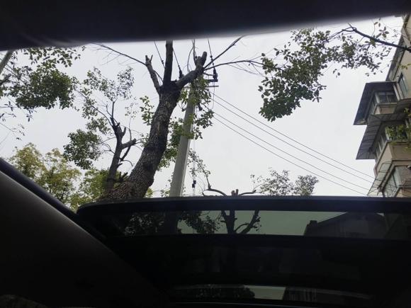 [上海·沪B] 二手大众途观2014款 1.8TSI 自动两驱30周年纪念版