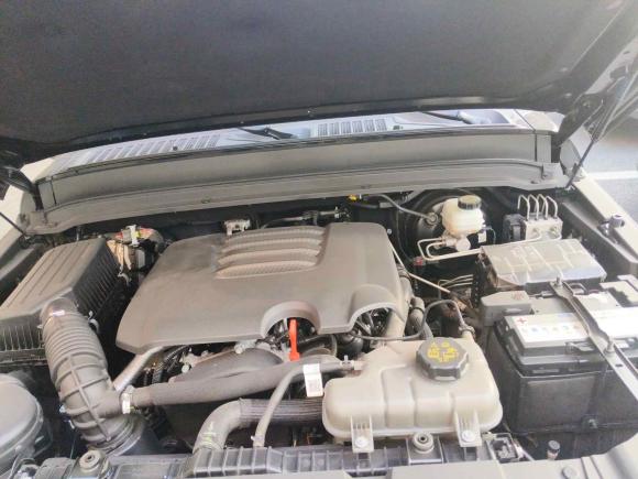 [上海·鲁D] 二手坦克坦克3002024款 2.0T 征服者