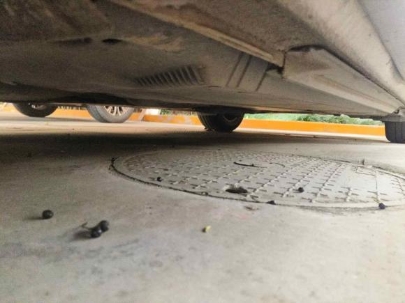 [嘉兴·浙F] 二手奥迪奥迪A4L2009款 2.0 TFSI 标准型