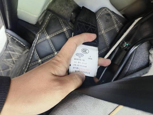 [南通·苏F] 二手开瑞江豚E52024款 260km 创业版