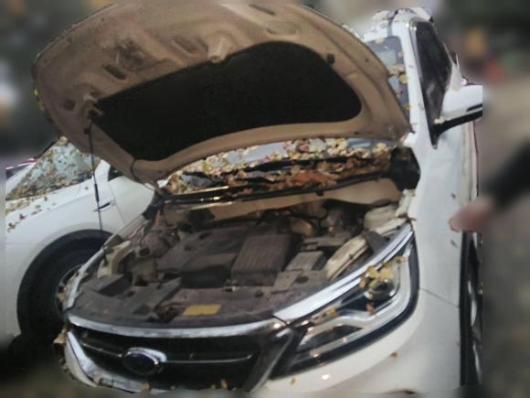 [合肥·皖A] 二手开瑞开瑞K602017款 1.5L 手动豪华型