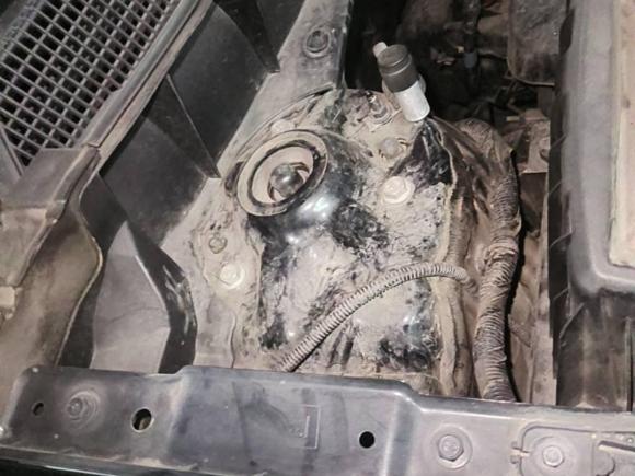 [武汉·鄂A] 二手凯迪拉克凯迪拉克XT52018款 25T 豪华型