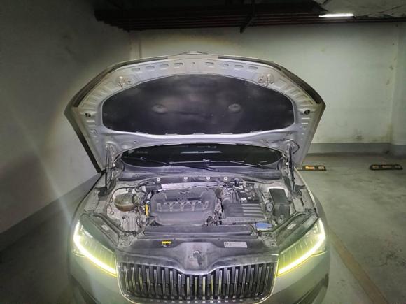 [杭州·浙A] 二手斯柯达速派2019款 TSI330 DSG豪华版