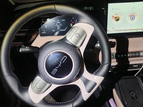 [上海·沪A] 二手比亚迪海鸥2023款 自由版