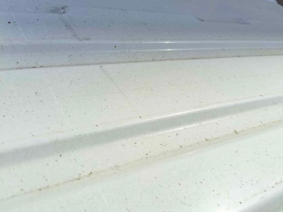 [杭州·鲁V] 二手福特经典全顺2016款 2.8T柴油短轴6座中顶多功能车JX493ZLQ4