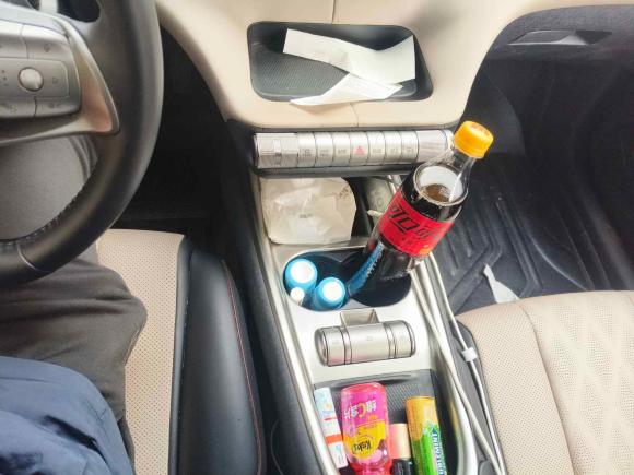 [上海·沪A] 二手比亚迪海豚2023款 420km 时尚版