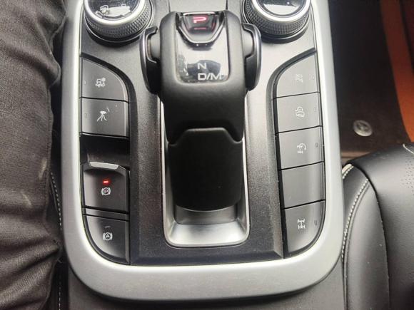 [成都·川G] 二手坦克坦克3002021款 越野版 2.0T 挑战者