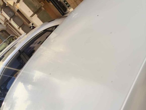 [上海·沪D] 二手大众Polo2013款 1.4L 手动风尚版