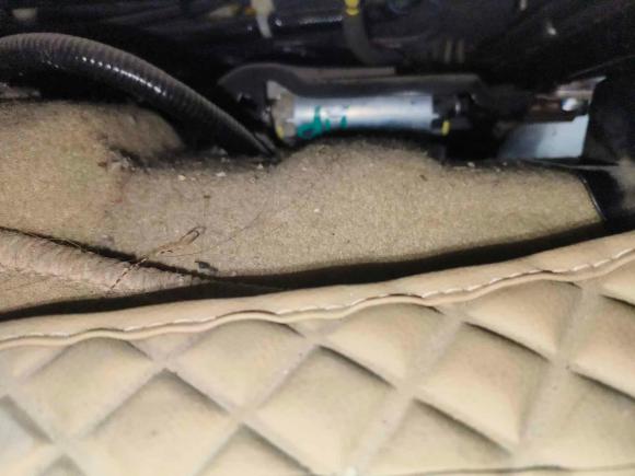 [济南·鲁A] 二手本田雅阁2010款 2.0L EX