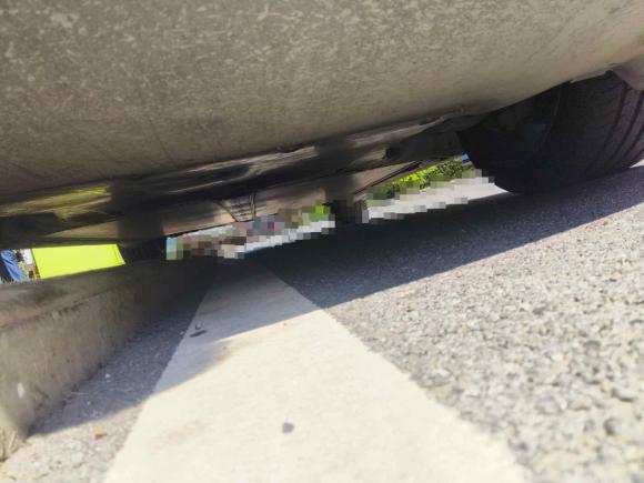 [武汉·鄂A] 二手特斯拉Model Y2021款 长续航全轮驱动版 3D7