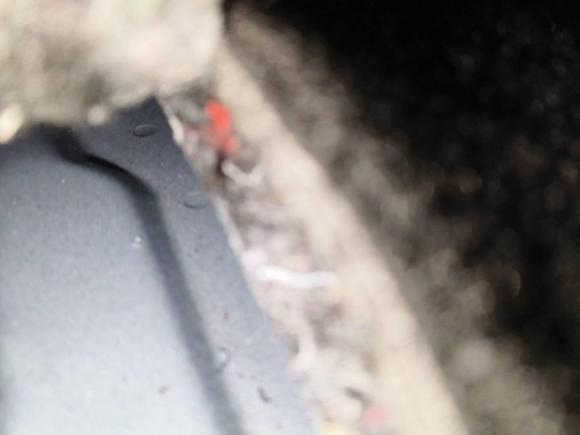 [武汉·鄂A] 二手大众途安2022款 途安L 280TSI DSG拓界版 7座