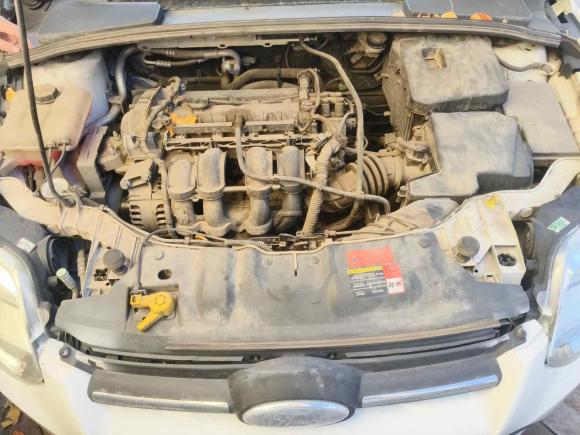 [青岛·鲁B] 二手福特福克斯2012款 两厢 1.6L 手动舒适型