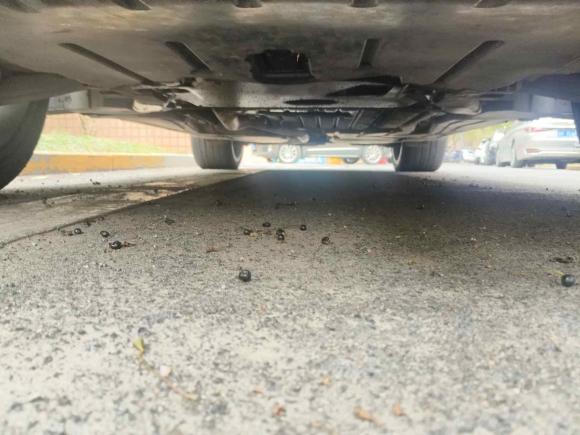 [南通·沪L] 二手宝马宝马X62011款 xDrive35i