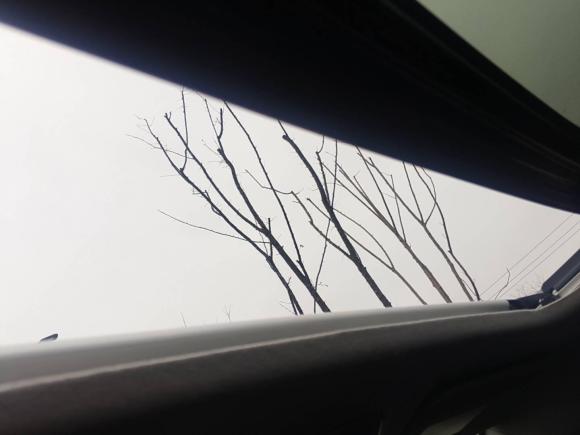 [杭州·浙A] 二手丰田奕泽IZOA2023款 2.0L 奕享版