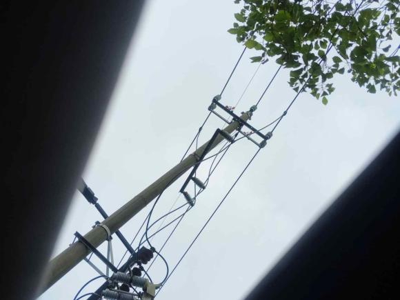 [嘉兴·浙F] 二手长安逸动2021款 PLUS 蓝鲸NE 1.4T GDI DCT尊贵型