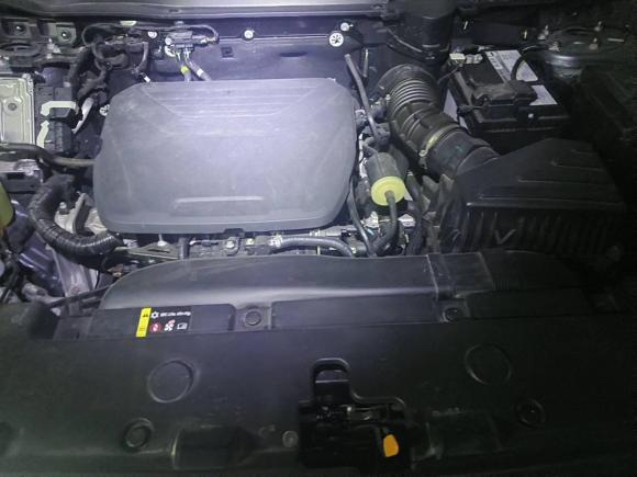 [深圳·粤L] 二手哈弗哈弗大狗2024款 1.5T DCT边牧版