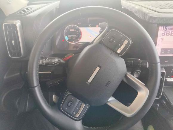 [上海·湘F] 二手哈弗哈弗大狗2021款 1.5T DCT两驱边牧-旺财版