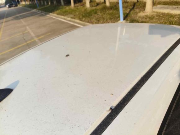 [常州·苏D] 二手本田LIFE2021款 1.5L CVT SPORT心动版