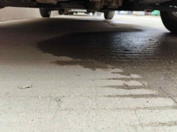 [武汉·鄂A] 二手福特福克斯2013款 两厢经典 1.8L 自动基本型