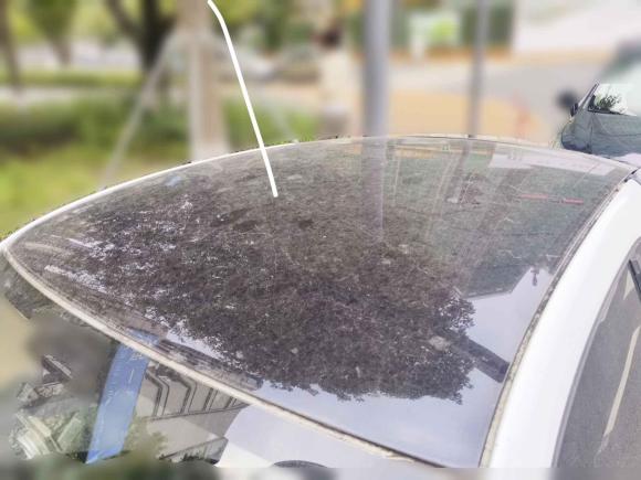 [成都·川A] 二手smartsmart fortwo2012款 1.0 MHD 硬顶舒适版