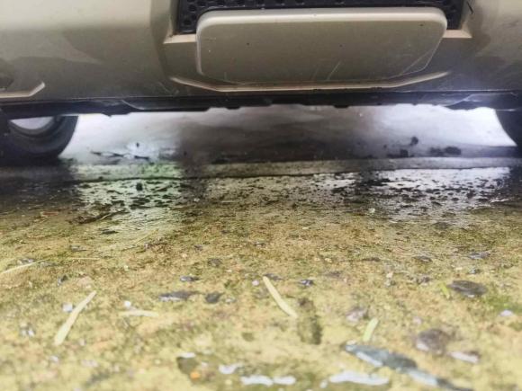 [上海·沪C] 二手福特领界2019款 EcoBoost 145 CVT精领型 国VI