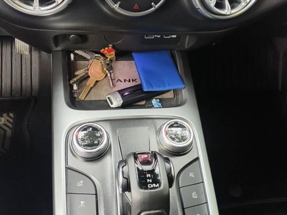 [深圳·粤B] 二手坦克坦克3002021款 越野版 2.0T 征服者