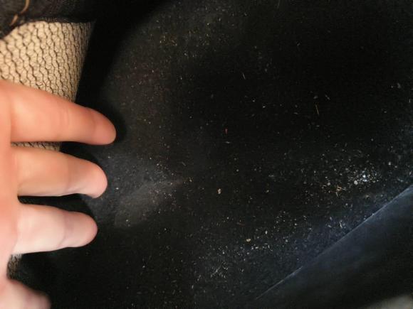 [合肥·皖A] 二手哈弗哈弗大狗2021款 1.5T DCT两驱拉布拉多版