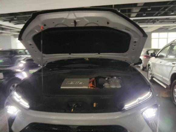 [温州·浙C] 二手蔚来蔚来ES62020款 430KM 性能版