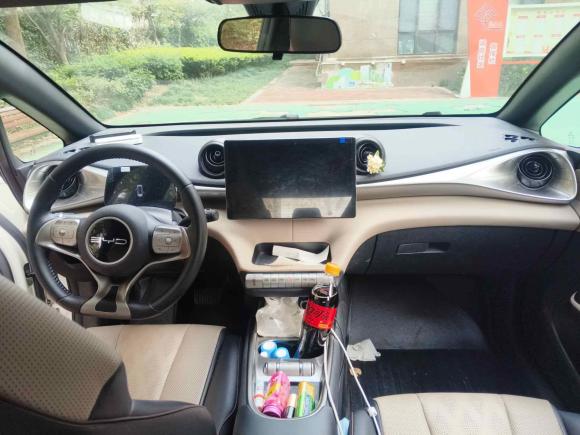 [上海·沪A] 二手比亚迪海豚2023款 420km 时尚版