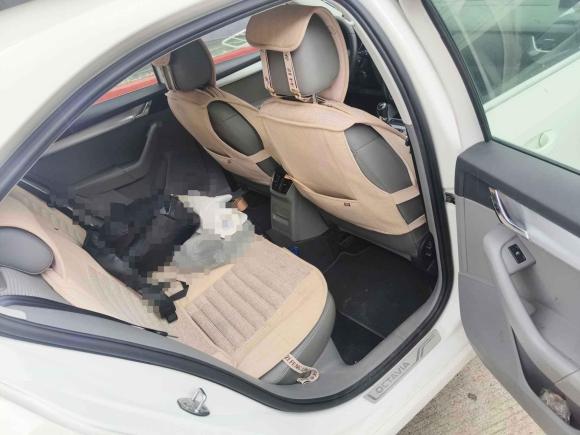 [苏州·苏E] 二手斯柯达明锐2015款 1.6L 手动逸杰版