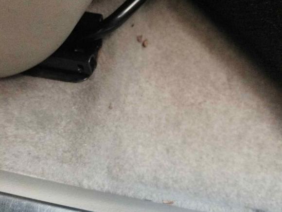 [杭州·浙A] 二手日产轩逸2012款 1.8XL CVT豪华版